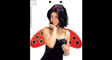 Lieveheersbeestje vleugels met voelsprieten