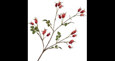 Silk-ka Kunstbloem-Zijden Bloem-Kunsttak Rozenbottel Tak Rood 67 cm
