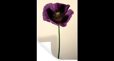 Muurstickers - Sticker Folie - Close-up van een paarse Klaproos - 20x30 cm - Plakfolie - Muurstickers Kinderkamer - Zelfklevend Behang - Zelfklevend behangpapier - Stickerfolie