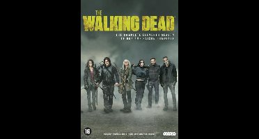 The Walking Dead - Seizoen 11 (DVD)