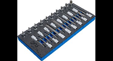 BGS Dopsleutelbitset Torx 26 delig