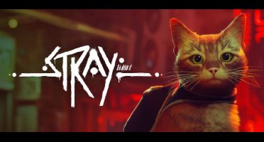 Stray - PC Download