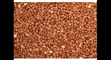 Wielink Pinda’s gepeld 1 KG kleinverpakking