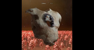 Soap & Skin - Torso (CD)