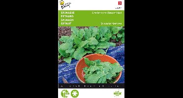 Spinazie Amsterdams Reuzenblad scherpzaad 20 gram