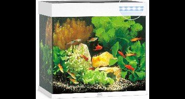 Juwel Lido 120 LED Aquarium - Wit - 120L - 61 x 41 x 58 cm