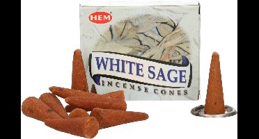 HEM Wierook kegeltjes in huisgeur Witte salie - 30x kleine kegeltjes - Ontspannend - Kalmerend