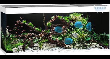 Juwel Rio 450 LED Aquarium - Wit - 450L - 151 x 51 x 66 cm