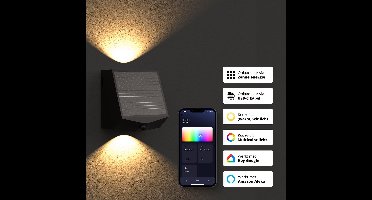 FlinQ Orion - Smart Solar Wandlamp - Solar Tuinverlichting - Zonne-energie - Wit en Gekleurd licht - Bewegingssensor - Alexa & Google Assistant - Zwart