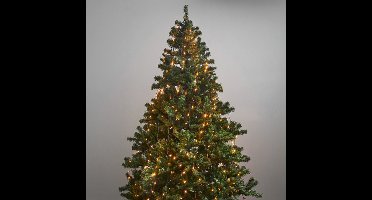 Easy fix kerstboomverlichting met 360 LED’s goud – 2M, voor binnen & buiten