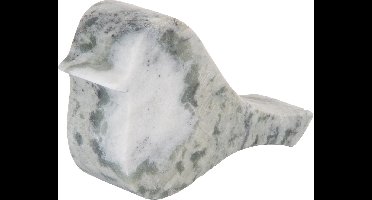 Present Time - Beeld Vogel Large - Himalayan green