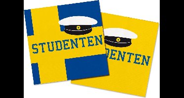 Studentenfeest Servetten 33x33cm - 20 stuks