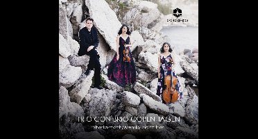 Trio Con Brio Copenhagen - Piano Trios (CD)