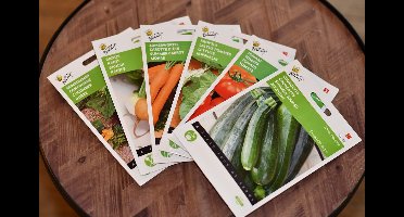 Groentezaden Assortiment Voor De Moestuin - Zomergroente - Wortels - Komkommer - Tomaten - Sla - Courgette - Radijs