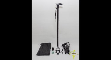 Pluviose wandelstok Loyal opvouwbaar : zwart