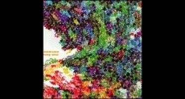 Doldrums - Feng Shui (CD)