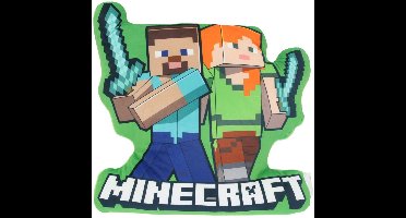 Minecraft Kussen 40 CM - 3D