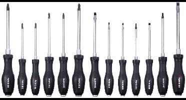 PARKSIDE PERFORMANCE Beitelschroevendraaierset - 15 delig - magnetische punten -