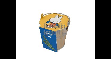 Nijntje educatief speelgoed kruiden zinken emmertje tijm multicolor.