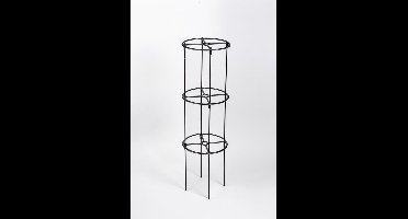 Plastia - Berberis Trellis - plantensteun - 132,5 cm hoog x 38 cm rond