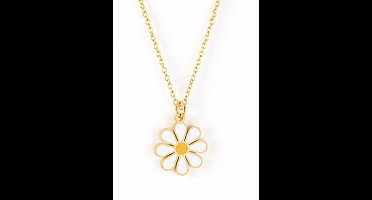 Luxe ketting - verguld - Stijlvolle ketting - Goudkleurig - Roestvrijstalen -Cadeau Voor Vrouwen- cadeau -Valentijn - Liefde - Verrassing
