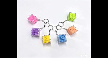 Duckiez Sleutelhanger Maze - 1 stuk
