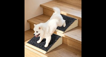 Hondenramp 2 stuks - Anti-slip hondentrap met tapijt oppervlak - Lage hoek houten pet ramp voor kleine, gewonde en oude honden - Trappen en stoep hulpmiddel