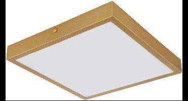 Plafondlamp Woonkamerlamp Slaapkamerlamp Eetkamerlamp Ganglamp, metaal messing, 1x LED 15W 1200Lm 3000K warm wit, L 25 cm