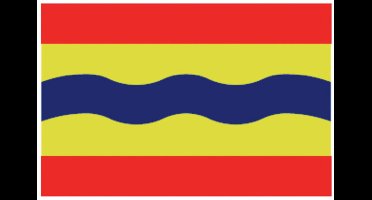 Talamex Overijsselse vlag 20 x 30 cm
