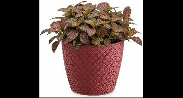 Prosperplast bloempot / plantenpot - kunststof - diep rood - Dia 15.7 cm en hoogte 13.8 cm - binnen/buiten