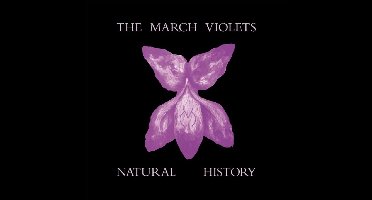 Natural History (RSD 2026)