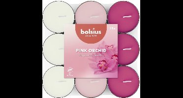 Bolsius - Geurtheelicht - 18 stuks per verpakking - Orchid Scented