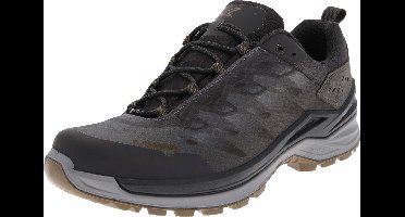 FERROX GTX LO Grijze Trekkingschoen