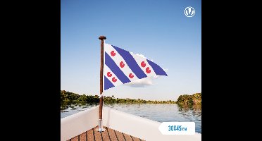Puntvlag Friesland wimpel 30x45cm