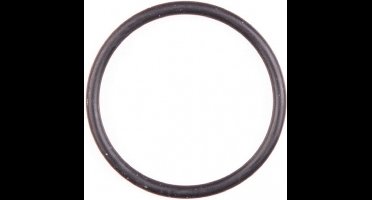 Gloria O-ring