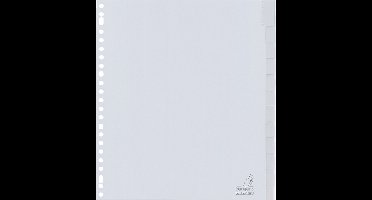 Kangaro tabbladen - A4 - PP 120 micron - grijs - 23-gaats - 12-delig venster - extra breed - G412FM-B