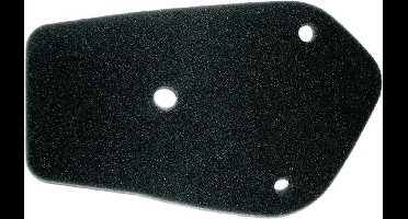 vicma luchtfilter voor daelim 50 e five scooter 2006 tot 2016 nieuw