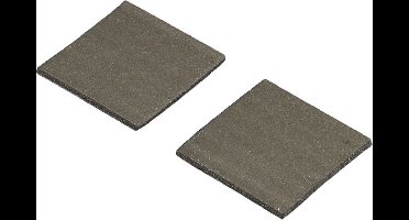 Rittal 2500.490 Magnetisch bevestigingspad (l x b x h) 40 x 40 x 2 mm 2 stuk(s)