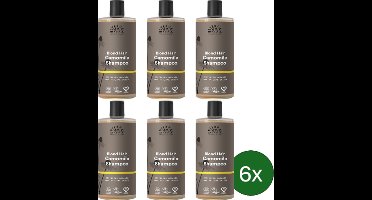 Urtekram Brandnetel Shampoo (Anti-roos) – 500 ml – Multipack met 6 stuks