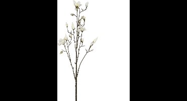 Kunsttak Magnolia Spray Cream - 155 cm