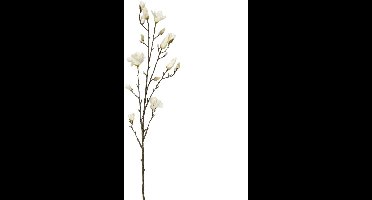 Kunsttak Magnolia Spray Cream - 135 cm