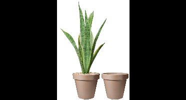 Pro Garden Bloempot - 2x - mokka bruin - rond - D40 cm - kunststof - plantenpot - tuin buiten