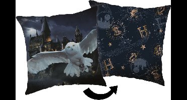 Harry Potter Sierkussen 40x40cm Polyester