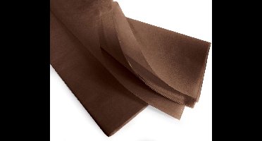 Bruin Vloeipapier | Watervast 17g | 30x50cm 240vel Brievenbuspakket A4