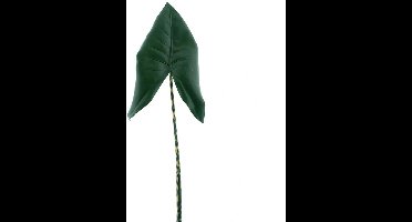 Kunsttak Calla lily leaf green 104cm