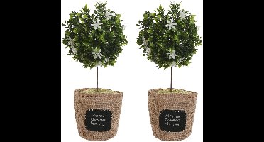 ITEM Deurstopper plant - 2x - 1 kilo - wit - polyester - 18 x 18 x 26 cm - boompje - Home Sweet Home