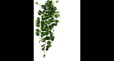 Buitengewoon de boet - Scindapsus aureus 90 cm kunstplant