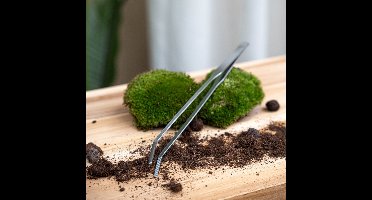 Extra long Terrarium tweezer - 26 cm - Stainless steel