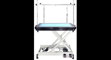 Elektrische Trimtafel met Led verlichting 110 x 60 cm