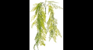 Kunstmatige hangplant in de vorm van een varen, een decoratieve blikva